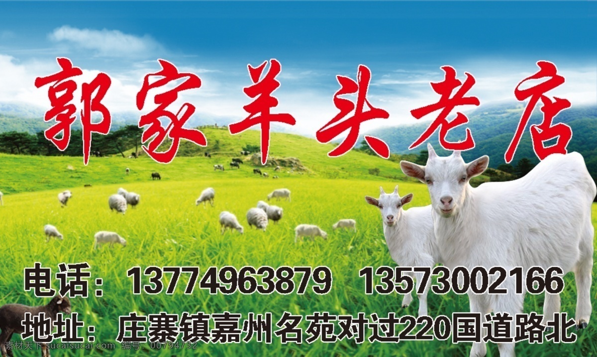 羊头老店 羊 青山羊 背景羊 背景 蓝天绿草 自然景观 自然风光