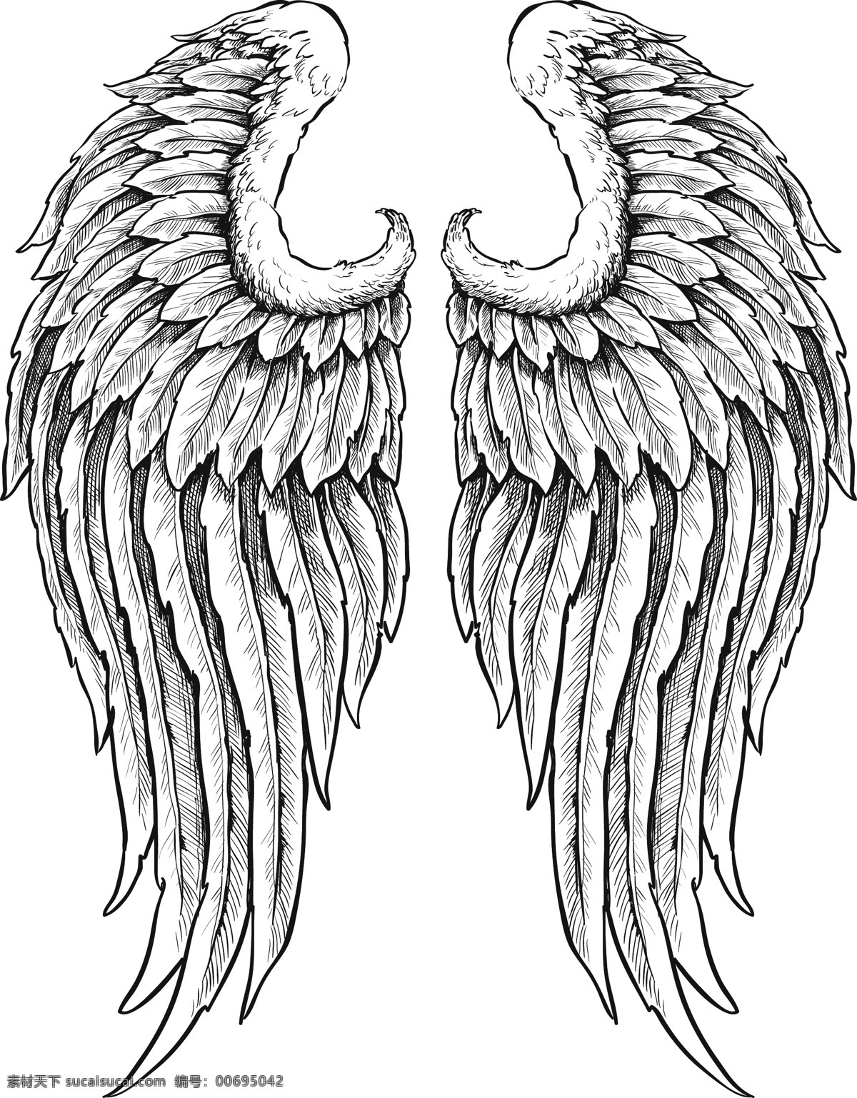 创意翅膀设计 羽毛 花纹 翅膀 翅膀设计 矢量翅膀 翅膀素材 创意翅膀 矢量素材 底纹边框 白色