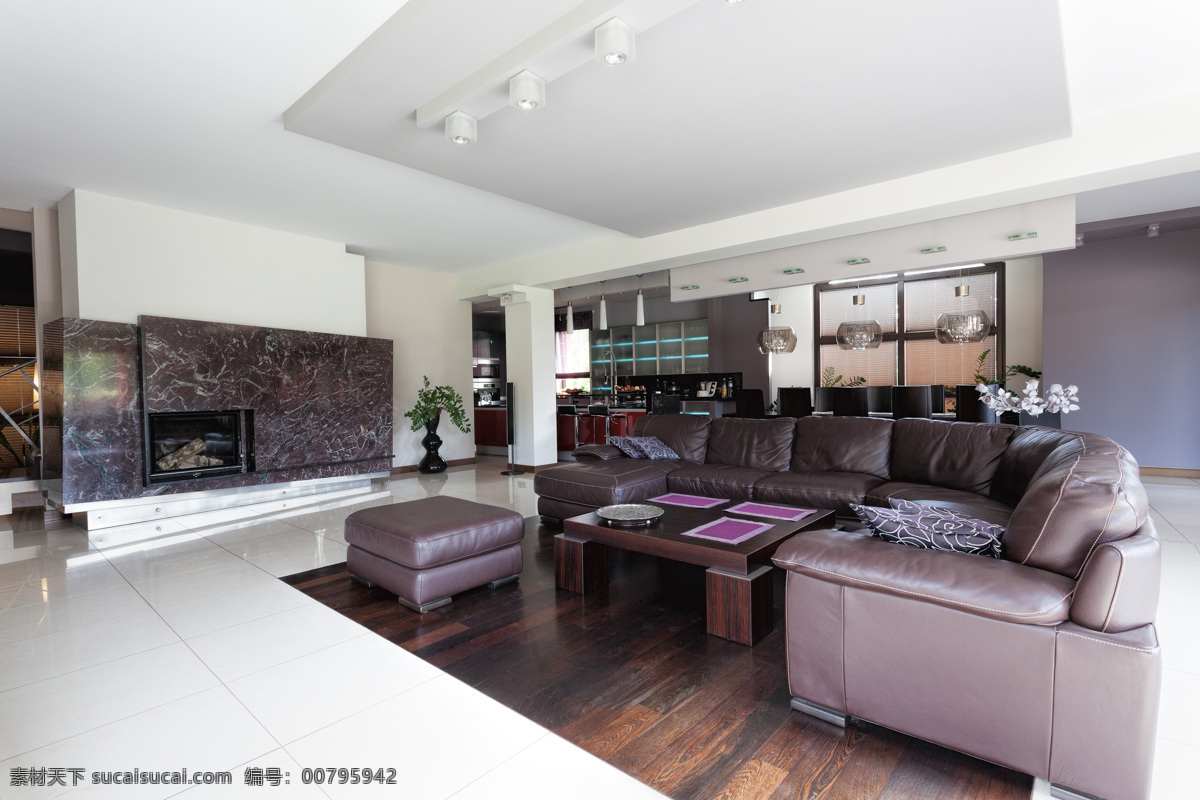 宽敞 大气 客厅 宽敞大气 地板 沙发 茶几 室内设计 环境家居