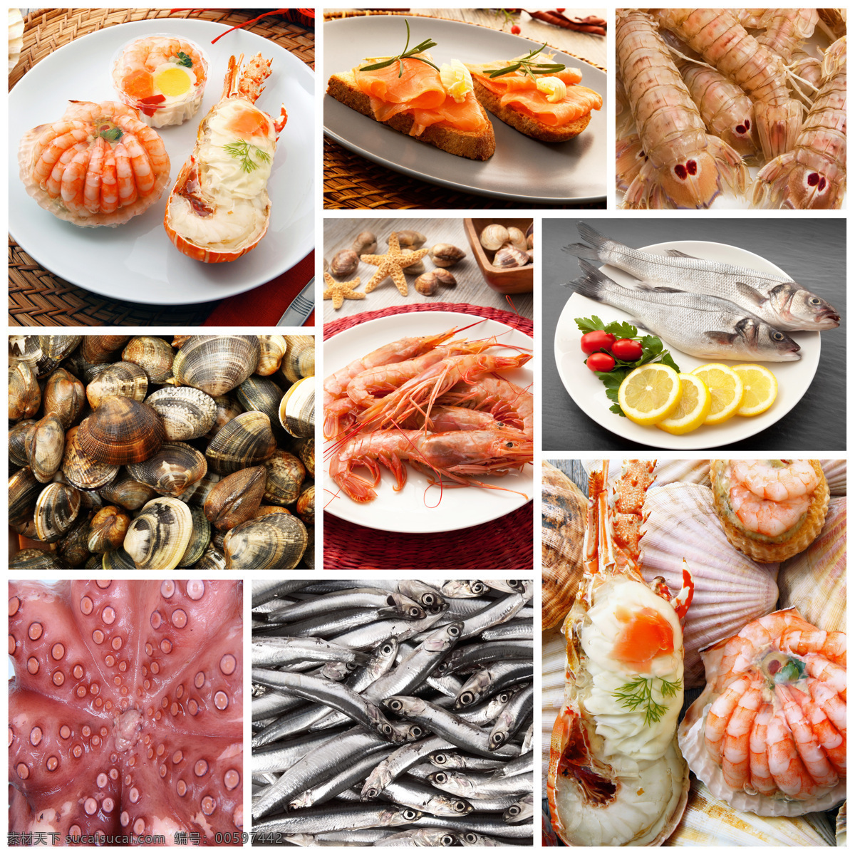 各种 海鲜 外国 美食 外国美食 面包 海星 大虾 小鱼 章鱼 扇贝 虾爬子 中华美食 餐饮美食 白色