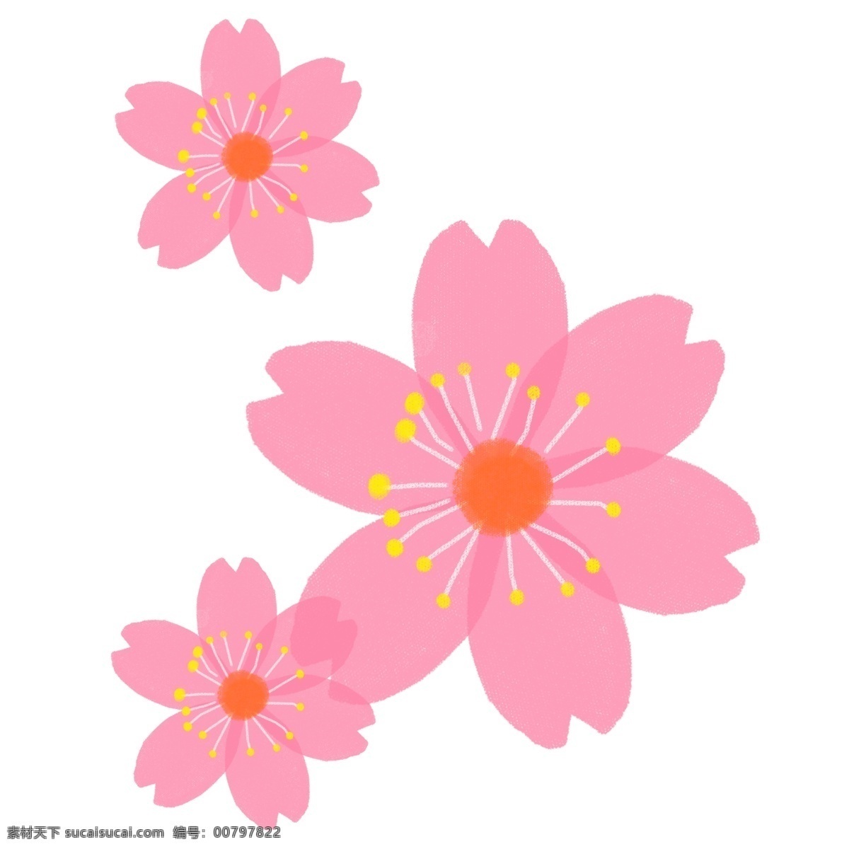 花卉 图案 桃花 樱花 矢量 花 花朵 花卉图案 花开富贵 时尚花朵 矢量花朵 陶瓷花纸 多彩 植物花朵