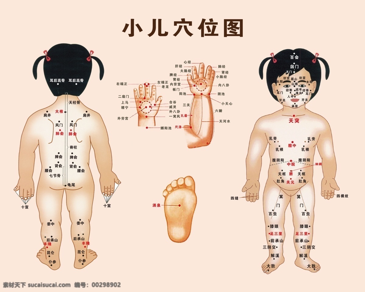 小儿 全身 穴位 图 小儿全身 穴位图 全身穴位图 儿童穴位图 五脏六腑图 背部 反射图 手心穴位图 手背穴位图 正面 背面穴位图