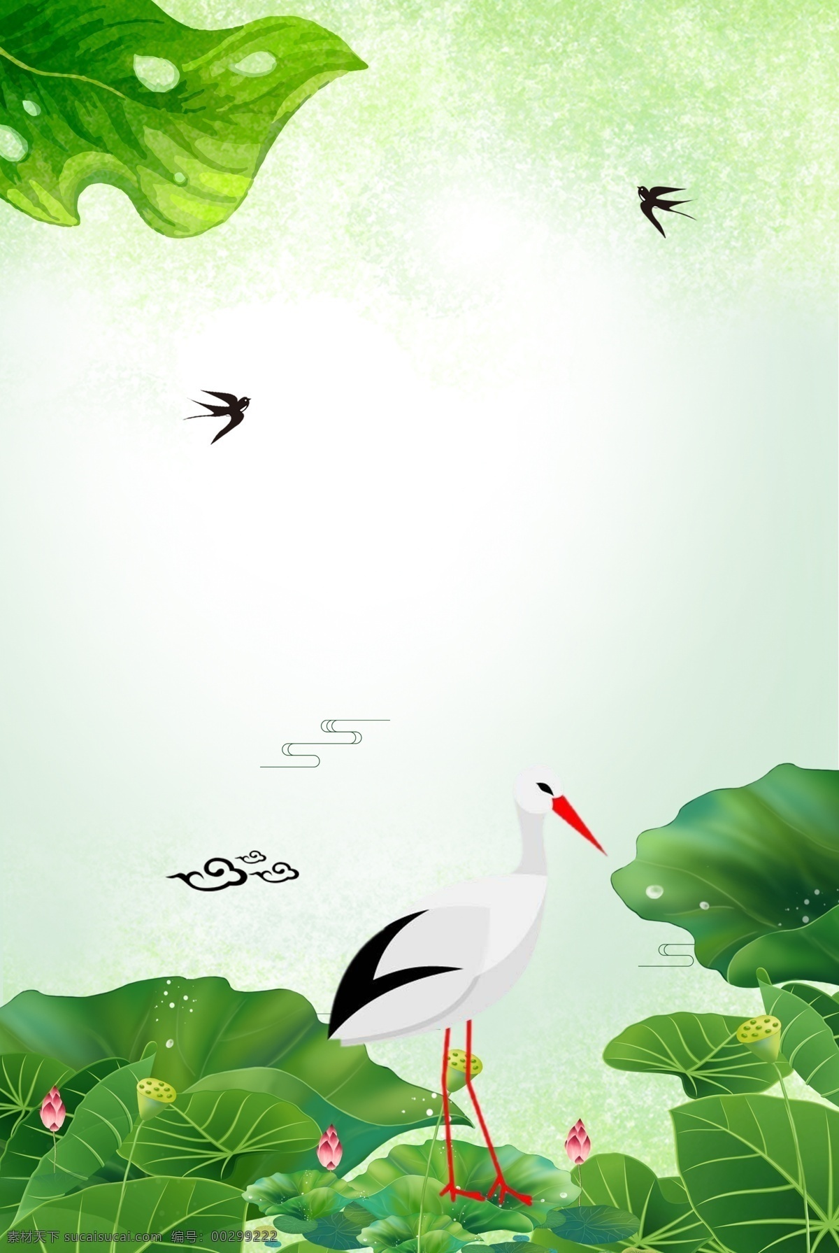 白露 二十四节气 白鹤 叶子 露珠 海报 传统 习俗 清新