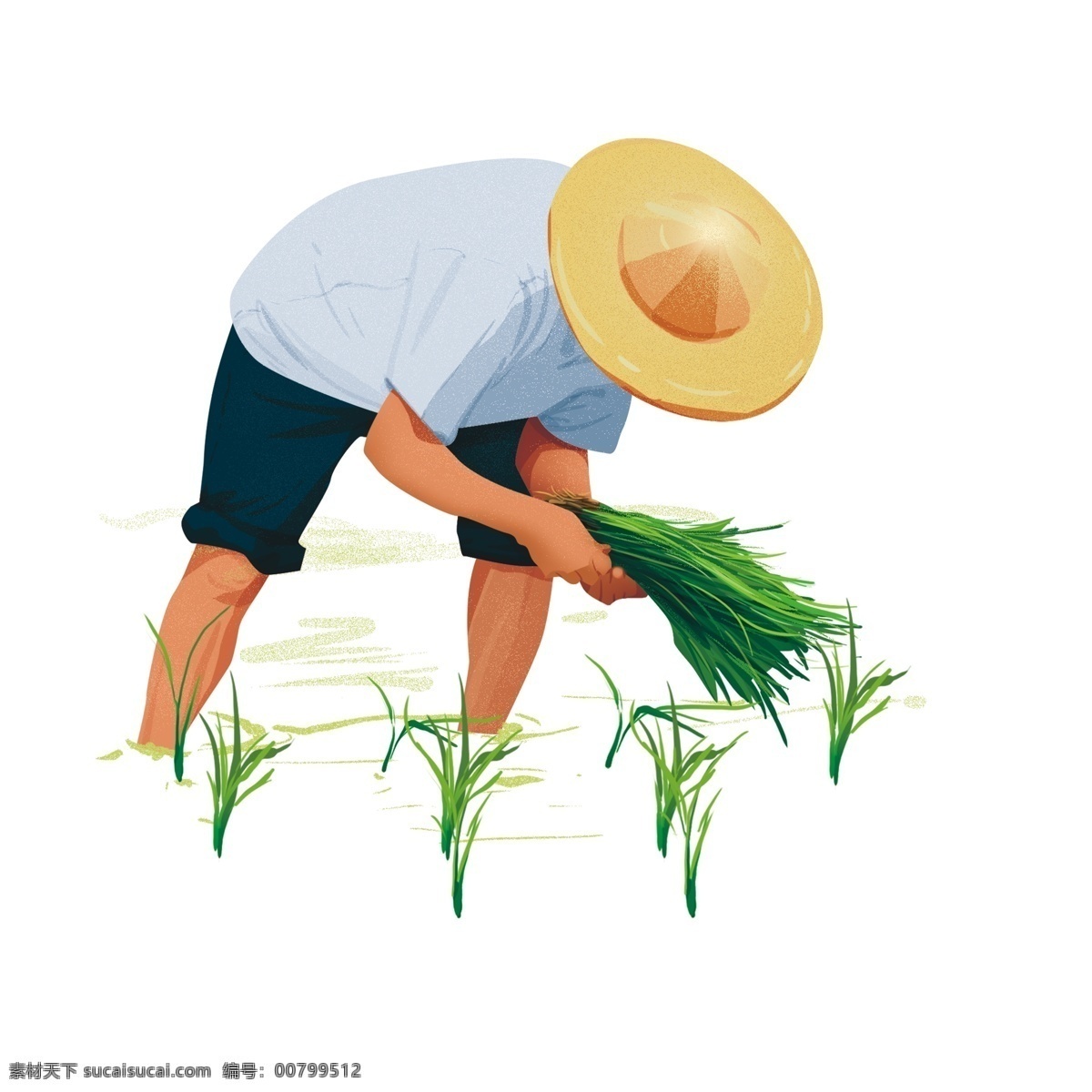 插秧 农民 装饰 元素 装饰元素 手绘 草帽 水稻 植物 稻田