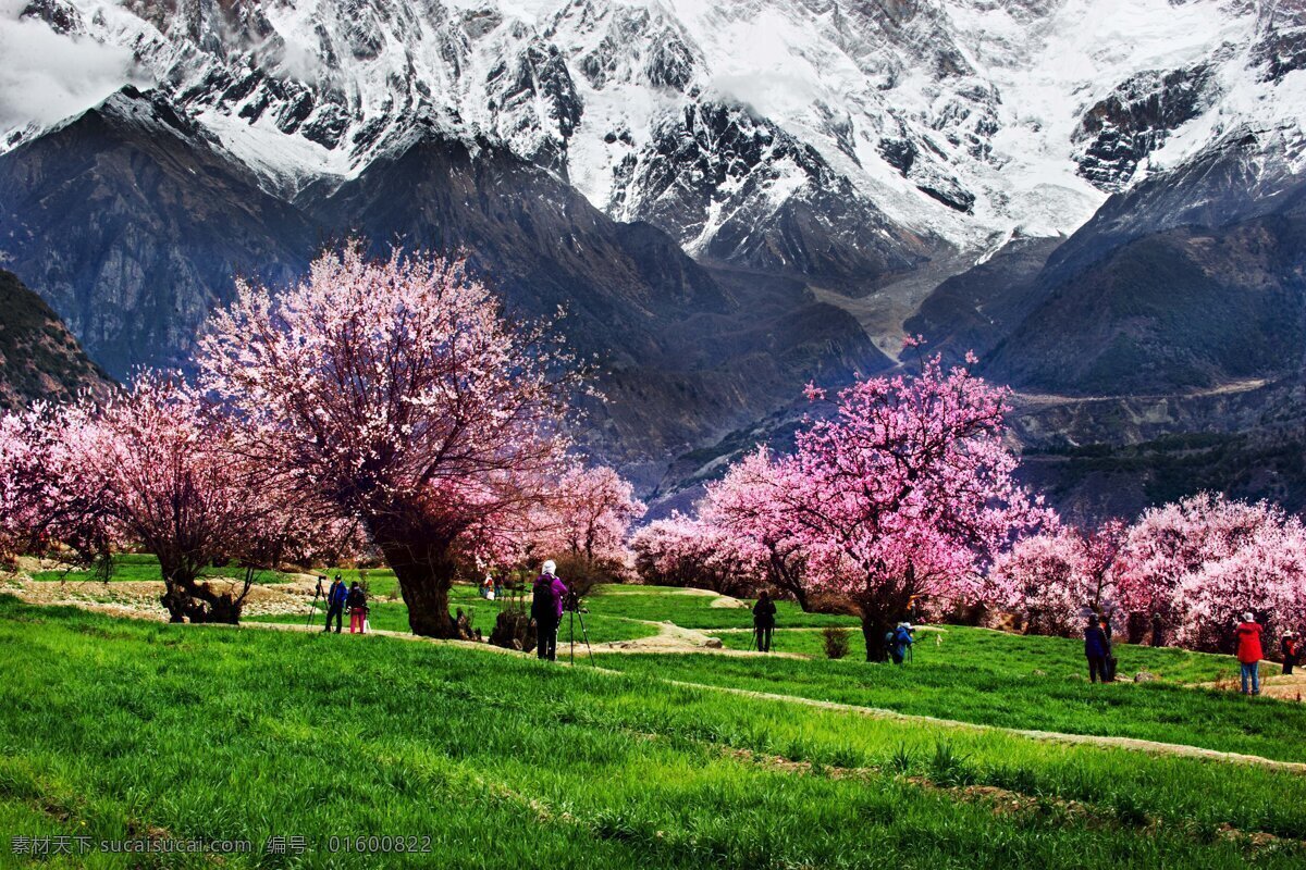 西藏林芝风景