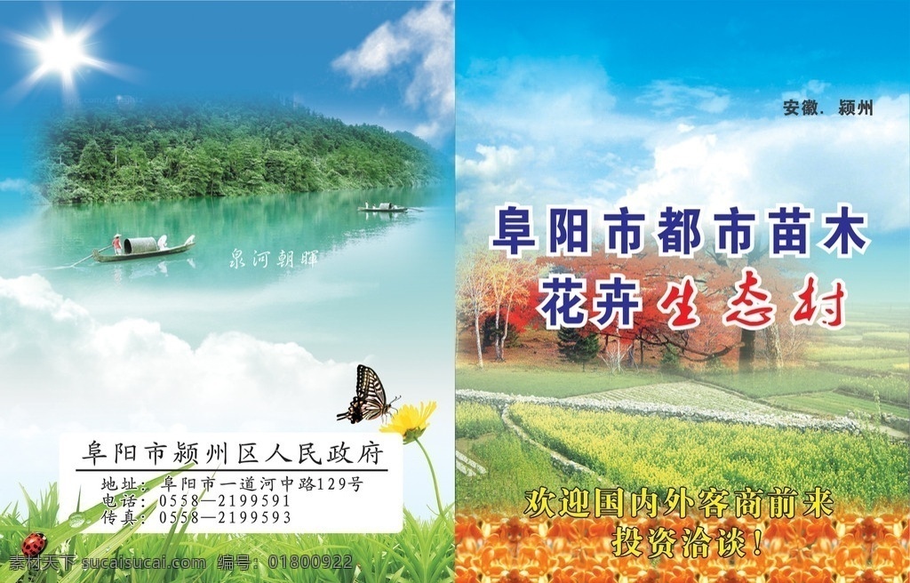 都市苗木 花卉生态村 枫林 小船大山 河水 光束 小虫 草苗 蝴蝶 花朵 桂花 蓝天白云 阜阳市 都市 苗木 画册设计 矢量