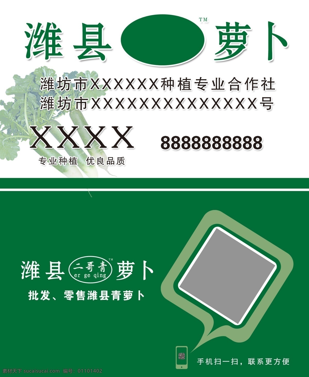 潍县萝卜名片 萝卜 潍县萝卜 萝卜名片 绿色食品 青萝卜