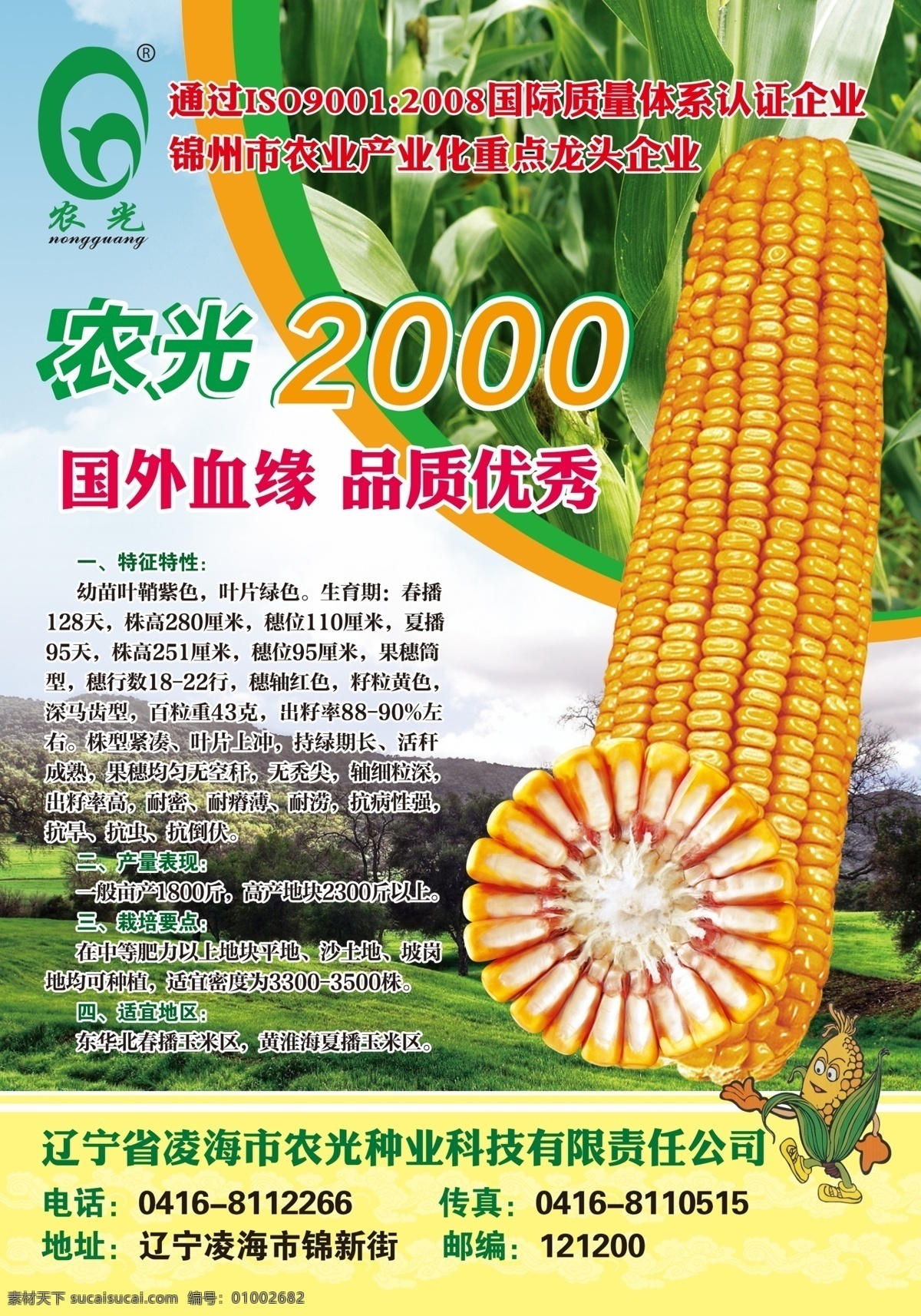 玉米宣传海报 农光2000 玉米地 玉米 玉米横切面 卡通玉米 蓝天 绿色 海报 玉米知识 分层 源文件