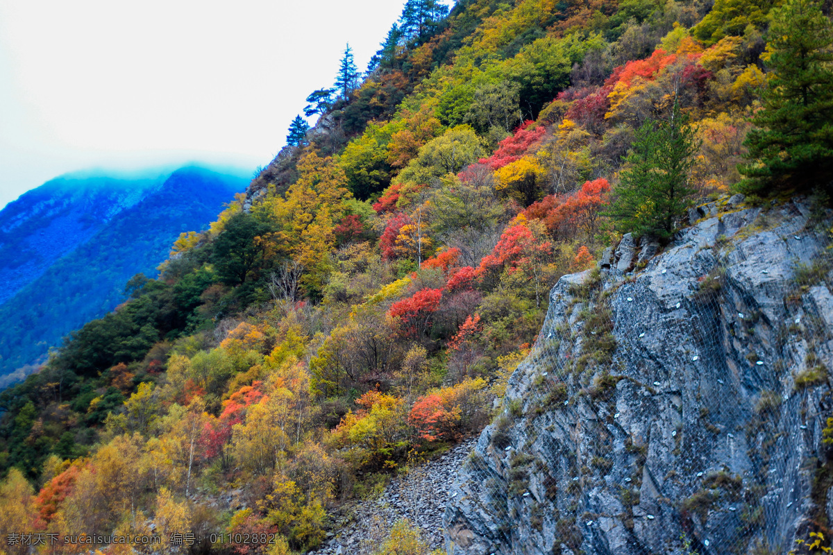 四姑娘山 长坪沟 美景 风光 四川风景 自然景观 山水摄影 雪山 山水风景 风景专辑2 旅游摄影 国内旅游