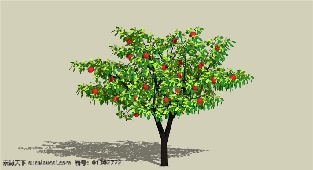 苹果树 植物 su 模型 3d 树 su模型 3d树 skp su植物 3d设计