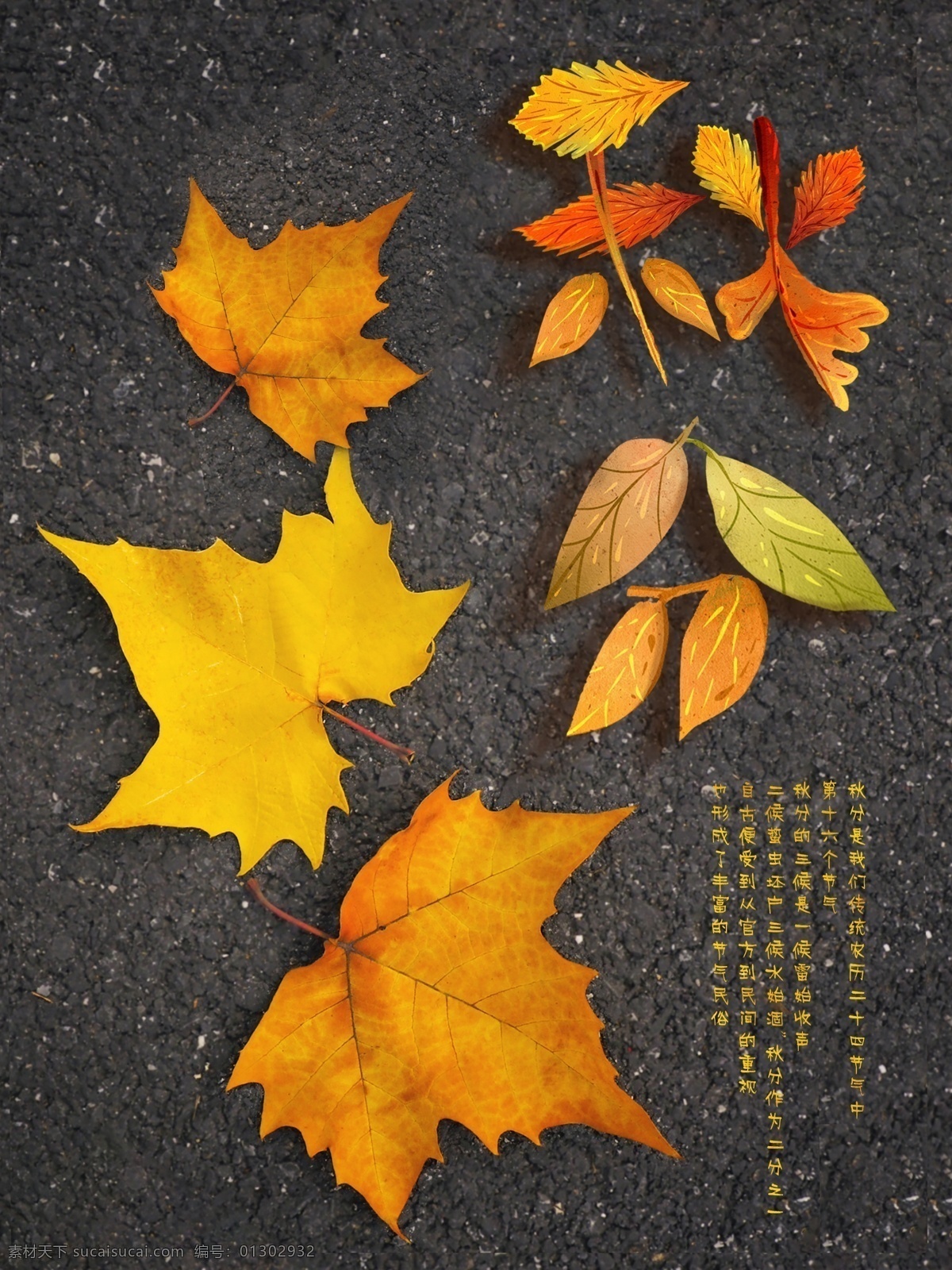中国 传统 二十四节气 秋分 落叶 海报 枫叶 节气 节日海报 立秋 秋 amp 四季