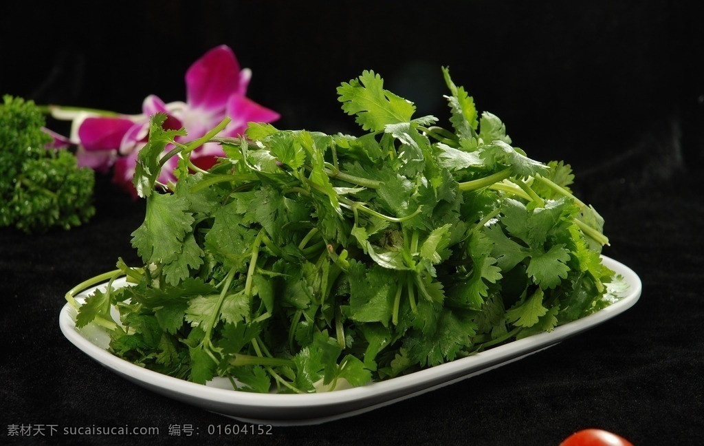 香菜 蔬菜 绿色蔬菜 火锅 火锅配菜 食物原料 餐饮美食