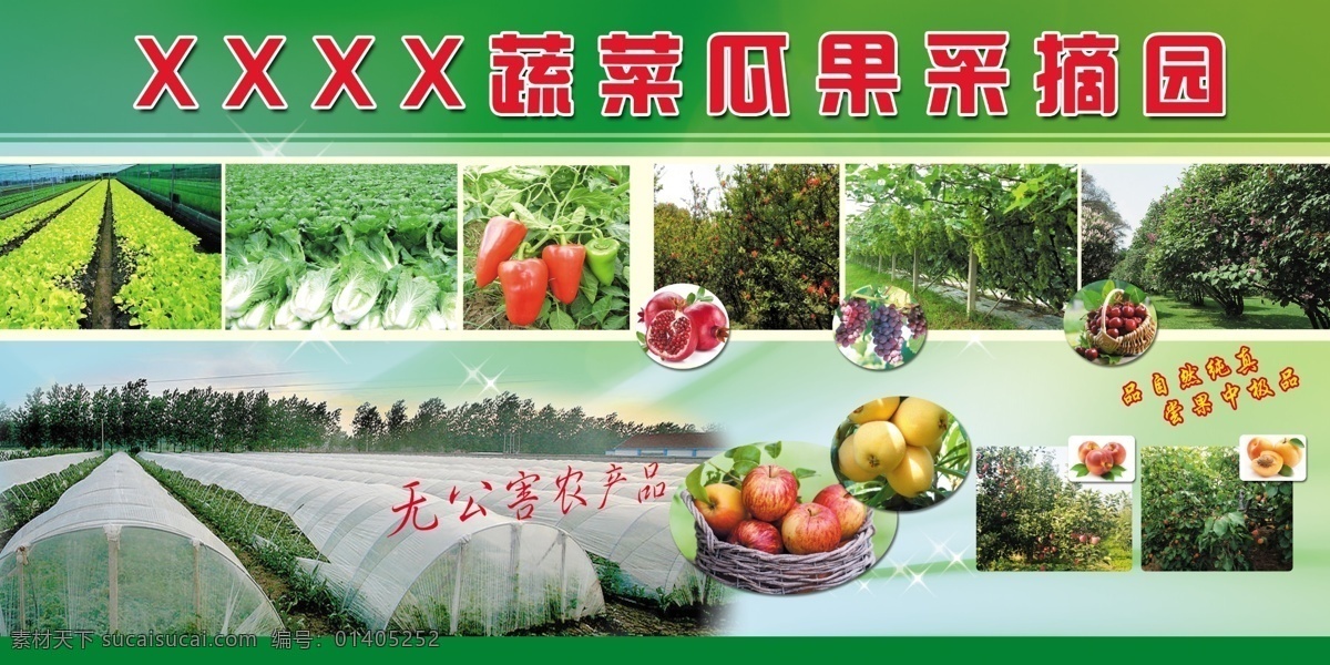 蔬菜 瓜果 采摘 园 采摘园 大棚蔬菜 大棚瓜果 无公害农产品