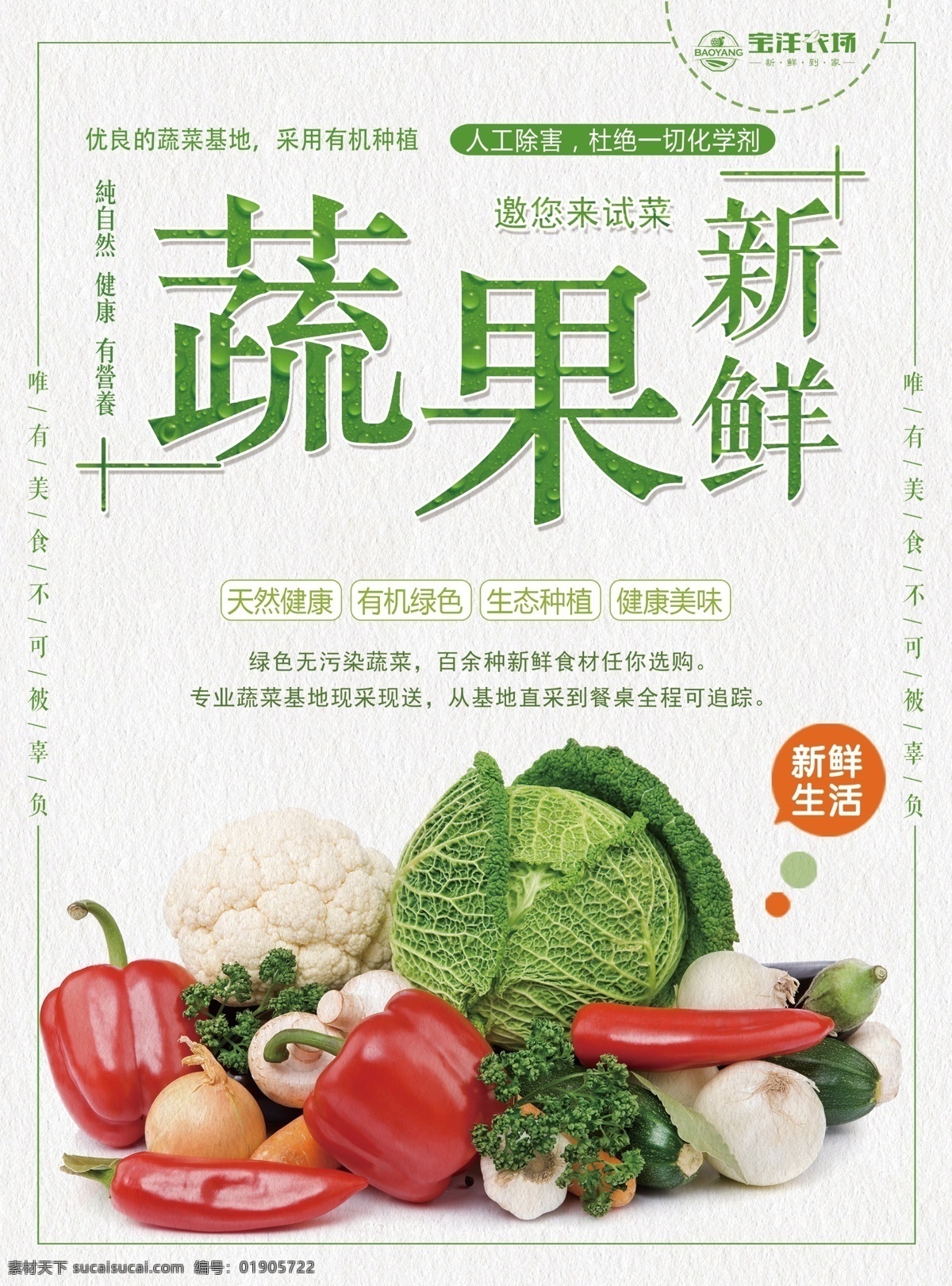 绿色 蔬菜 海报 展板 蔬果 健康 促销 新鲜 有机 商品