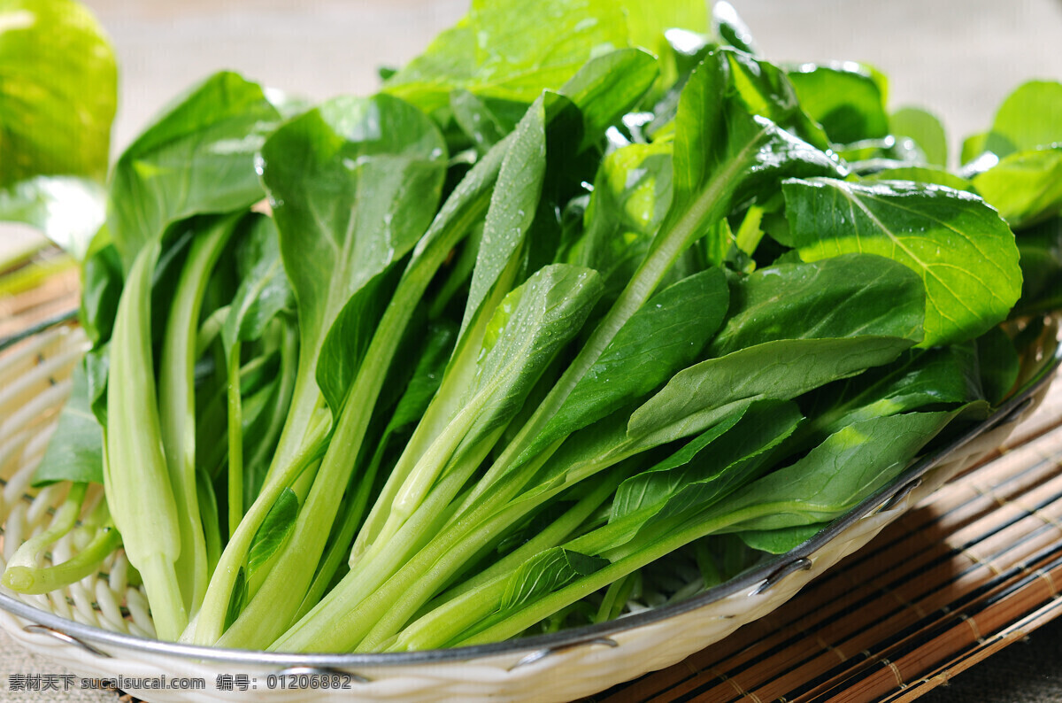 油麦菜 蔬菜 食品 自然 新鲜 健康 饮食 营养 绿色 素食 生菜 维生素 火锅菜 餐饮美食 传统美食