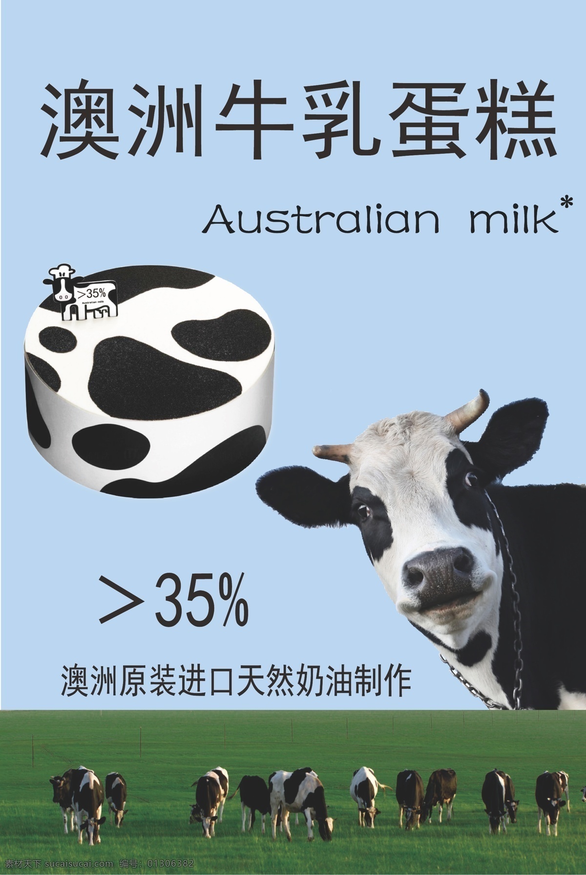 澳洲牛乳海报 奶牛 海报 澳洲牛乳 蛋糕海报