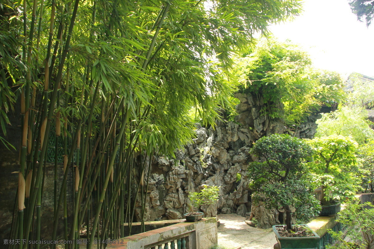 竹林 中式园林 中式 园林 广州 余荫山房 中国建筑 凉亭 中国山水 亭台 柳树 假山 中国元素 中式元素 灯笼 锦鲤 盆栽 建筑园林 园林建筑