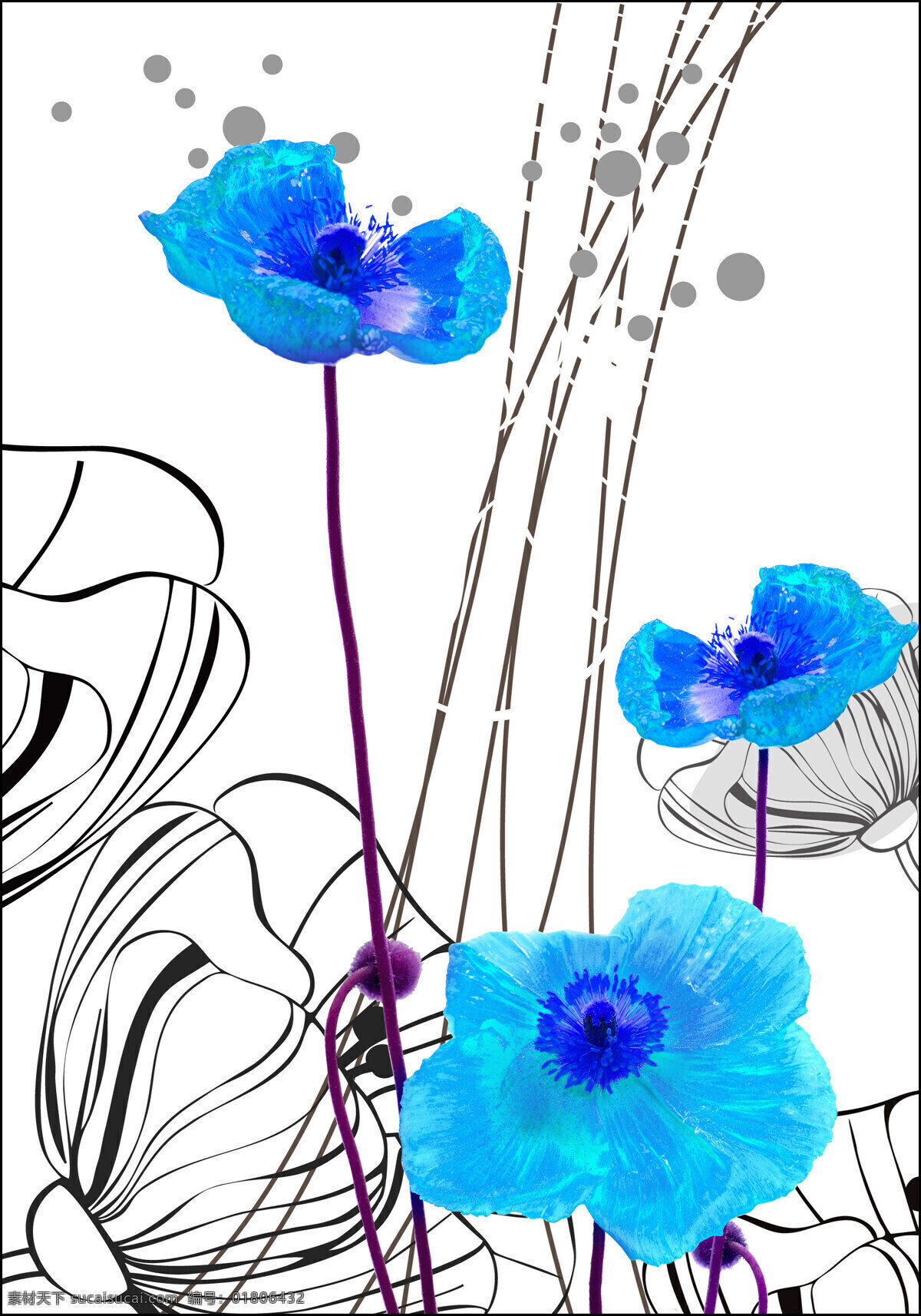 无 框 画 花朵 花卉 环境设计 无框画 花朵设计素材 花朵模板下载 画心 虞美人 新式画 家居装饰素材