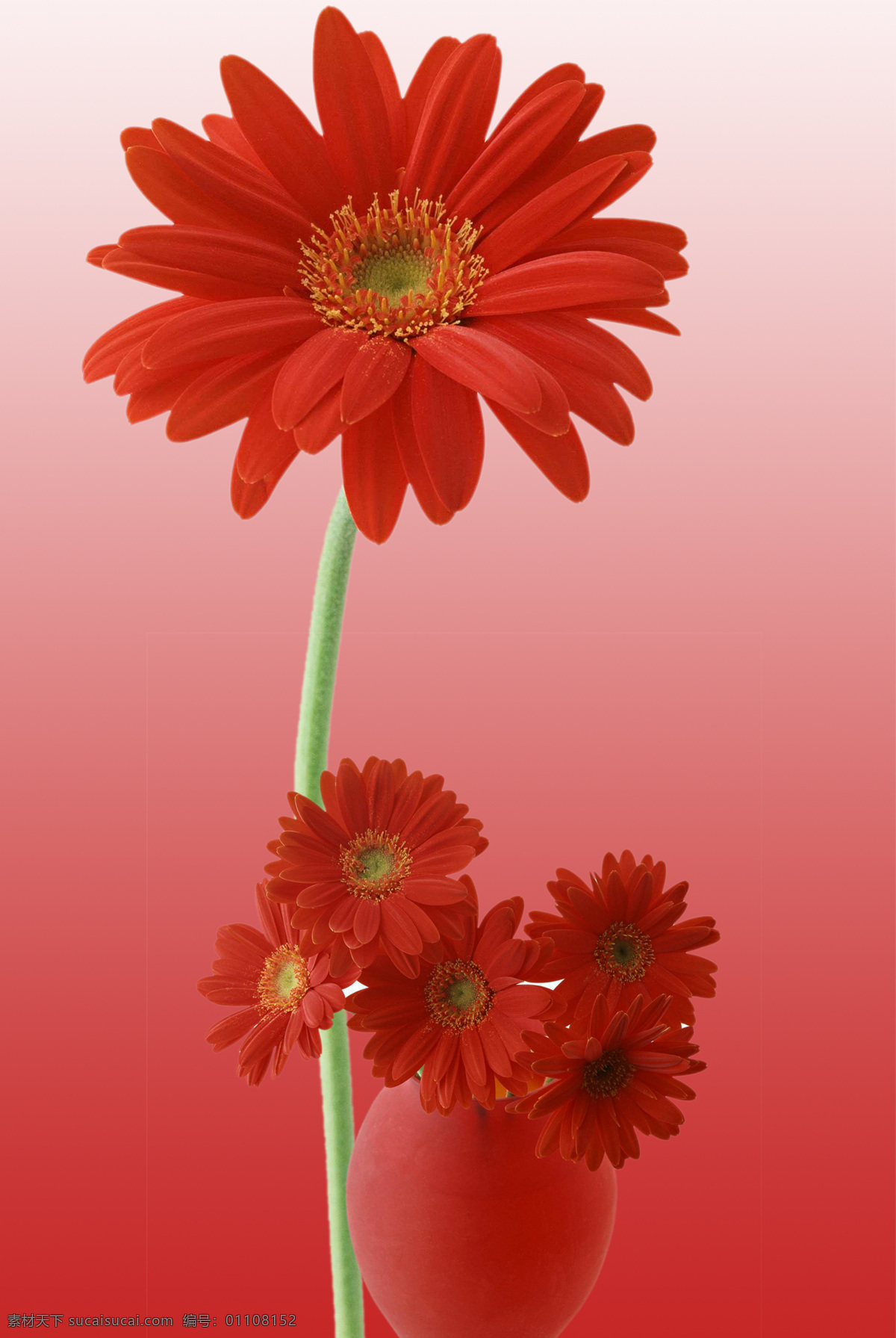 红色菊花 花卉油画 背景墙 复古动物 花卉背景 油画花卉 复古花卉玄关 欧式花卉 创意油画 时尚油画 欧美装饰画 欧美油画 复古油画 古典油画 唯美油画 抽象油画画屏 装饰画 文化艺术 绘画书法 动物手绘花卉 摄影图 淘宝设计 老虎 高清图库 水彩花卉 水彩印花 室内设计