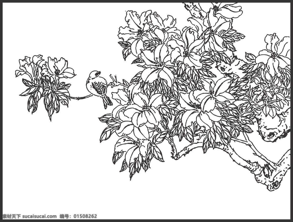 植物 花卉 观赏 鸟儿 装饰 线条 矢量 插画 白描 花鸟白描图 生物世界 鸟类