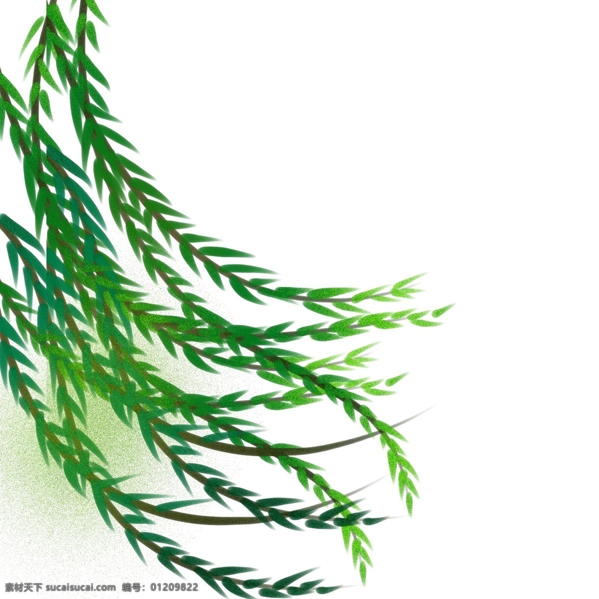 绿色 柳叶 树枝 植物 树叶 手绘 绘画 简约 创意 小清新 装饰 图案 水彩 插画