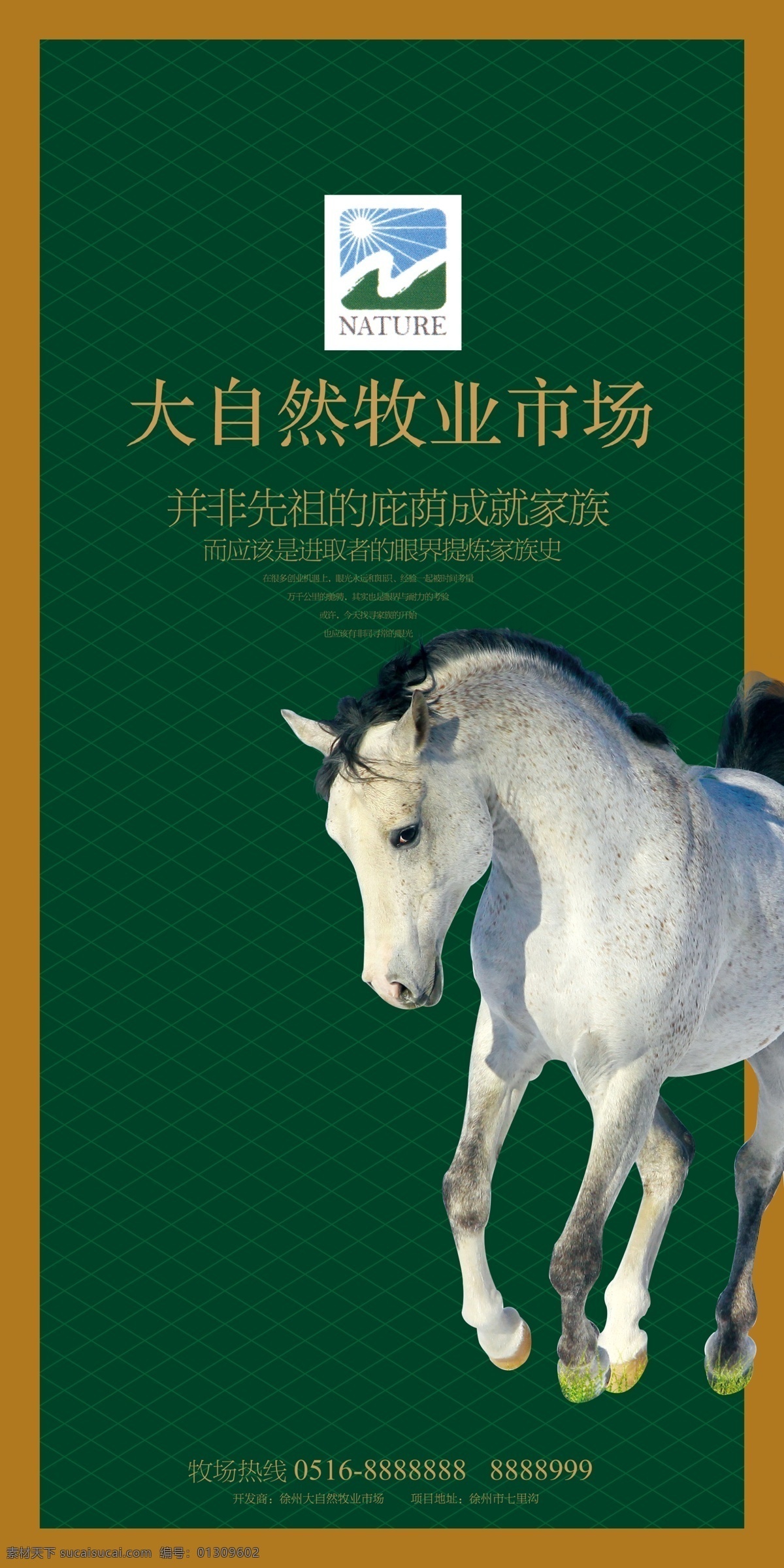 白马 底纹 房地产 房地产广告 广告 广告设计模板 画册 楼书 楼 书 手册 马 模板 海报 源文件