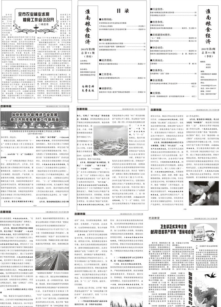 粮食局季刊 失量图 花边 季刊内页 书籍装帧 画册设计 矢量