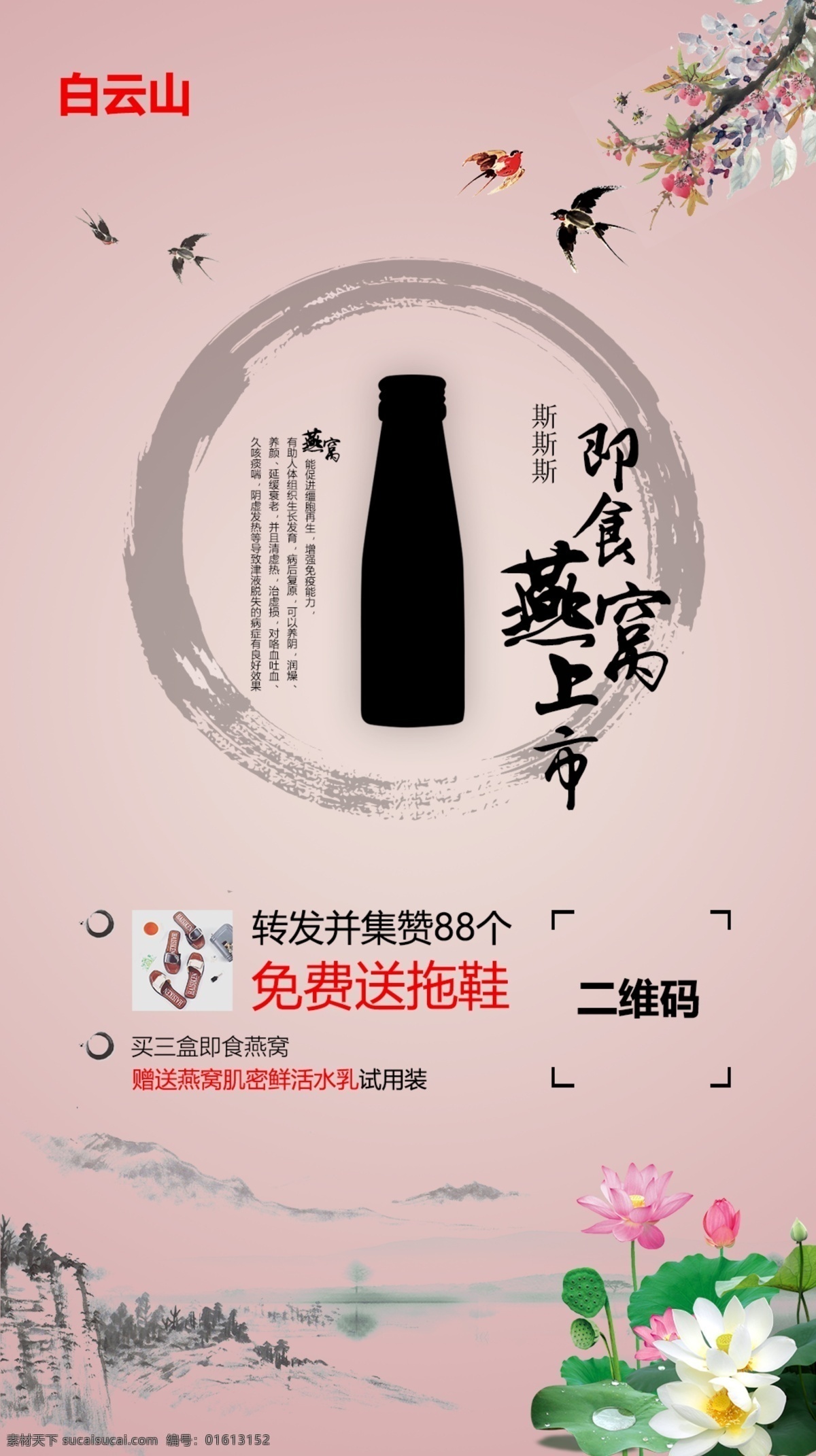 燕窝 荷花 燕子 山水 花 文化艺术 传统文化