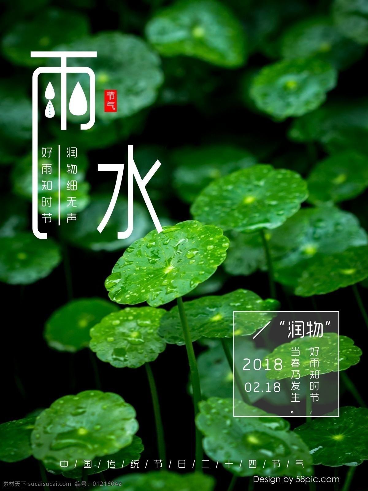 绿色植物 水滴 雨水 中 国二 十 四 节气 节日 海报 绿色 植物 雨水节气 节日海报 中国 二十四节气