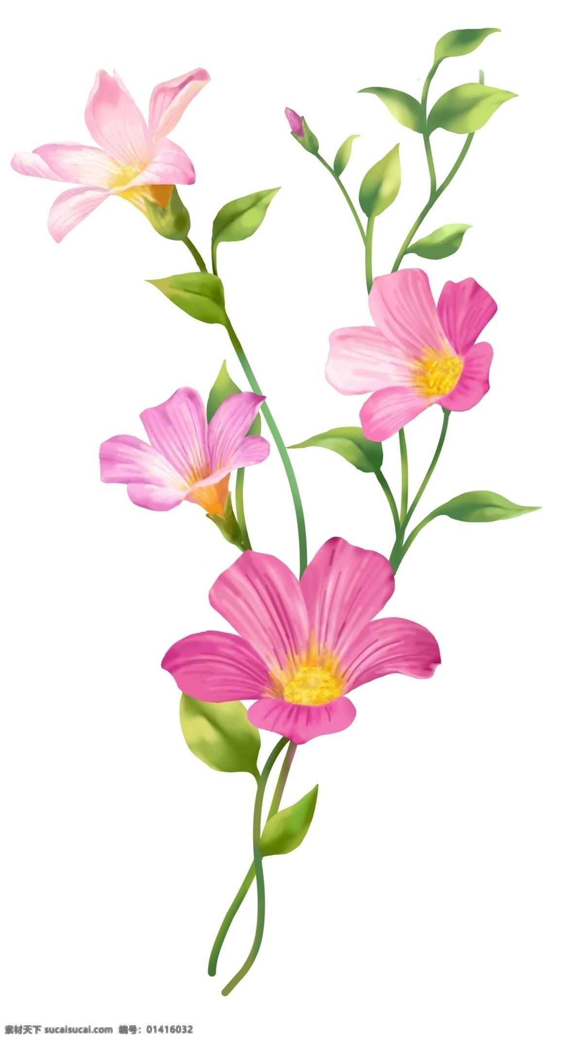 粉色 小 花朵 大花 花 黄色 植物 psd源文件