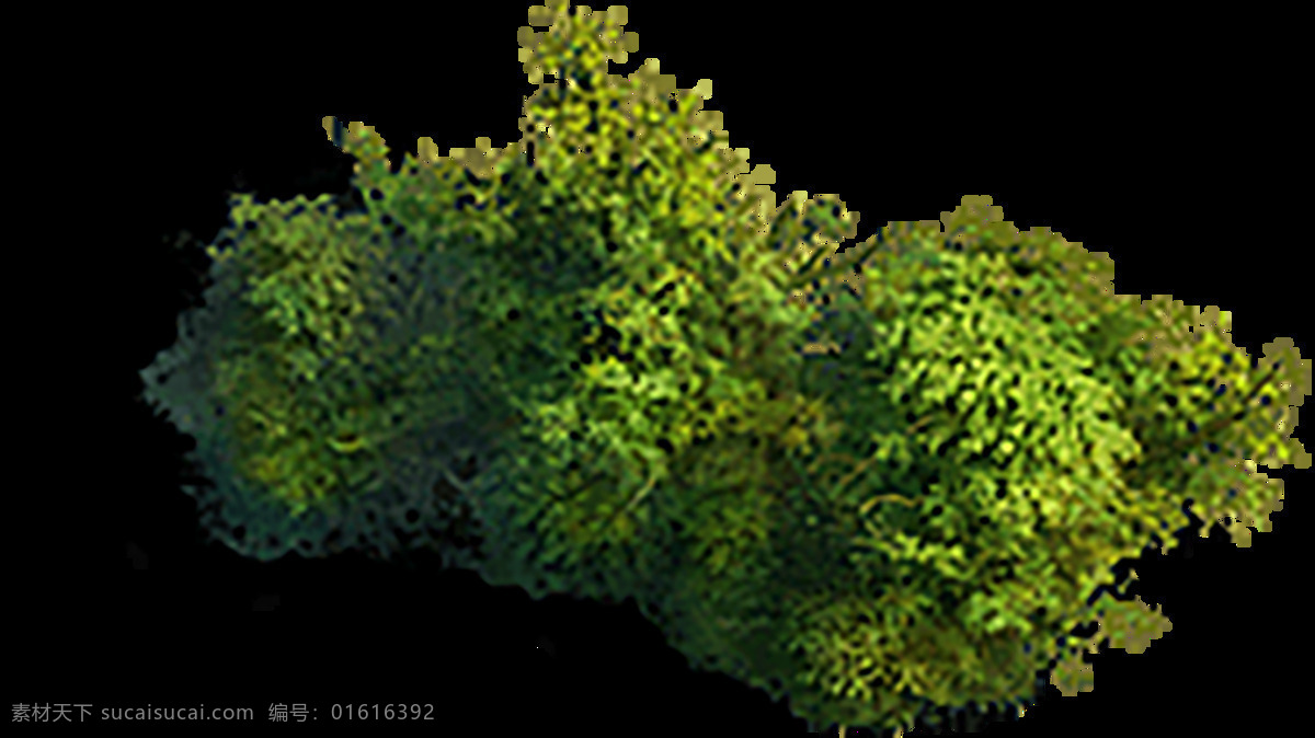 绿色装饰 热带树叶 小清新树叶 植物背景 背景简约 植物树叶 底纹 竹栏杆 电视背景墙 背景墙 装修 背景墙效果图 室内背景墙 效果图 免扣 壁画 装饰画 纹理 壁纸 墙纸 沙发背景墙 砖墙 墙面 绿色 藤蔓 蔷薇 玫瑰 蝴蝶 树叶 边框 植物