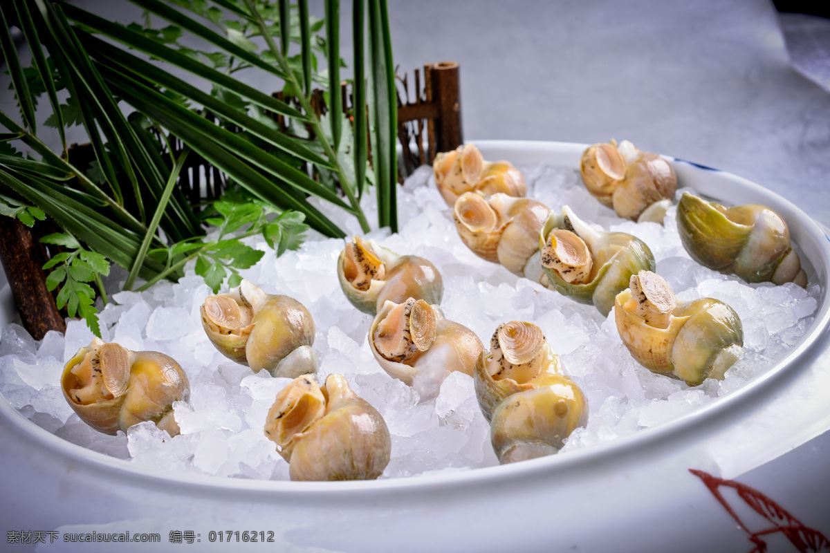 冰岛青螺 凉菜 精美凉菜 拍摄图片 高清图片 美食 美食图片 传统美食 餐饮美食
