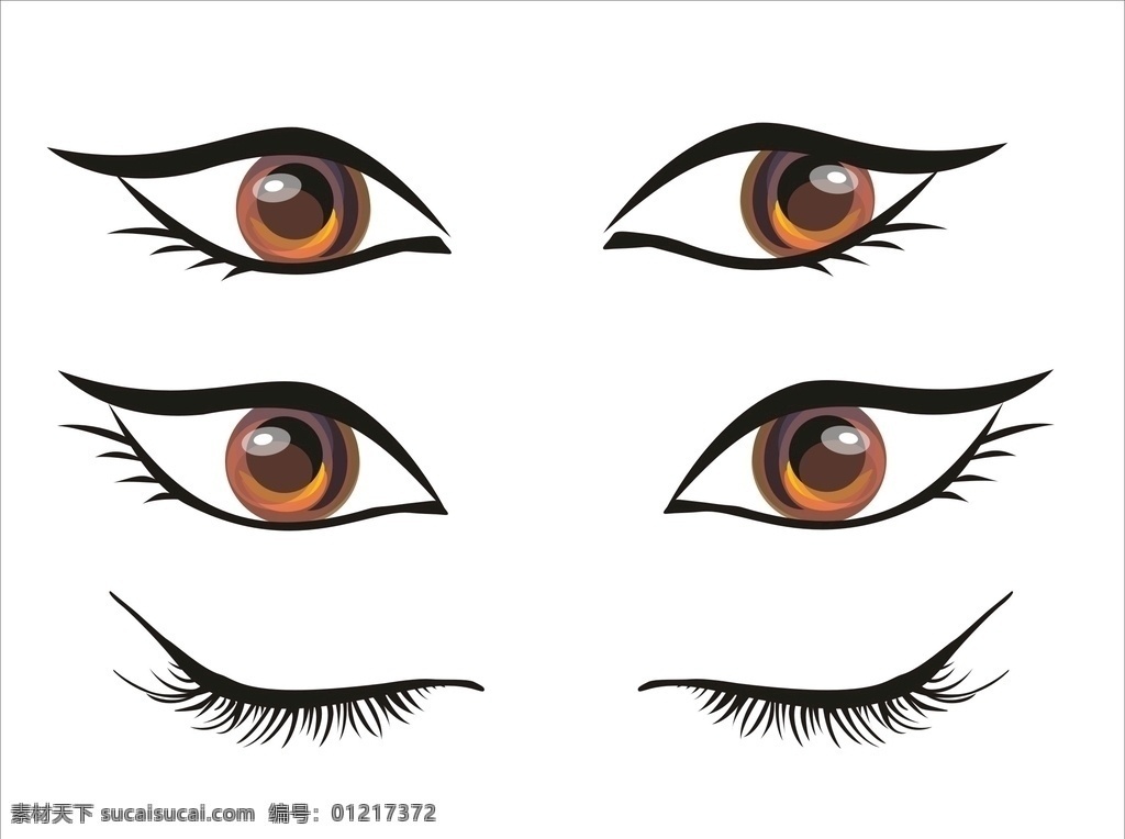 女性眼睛 矢量图 可调大小 变更颜色 睫毛