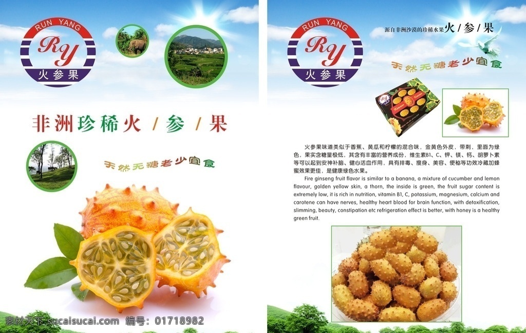 非 州 珍稀 火 参 果 火参果下载 水果 火参果 火参果望板 火参果介绍 为参果广告