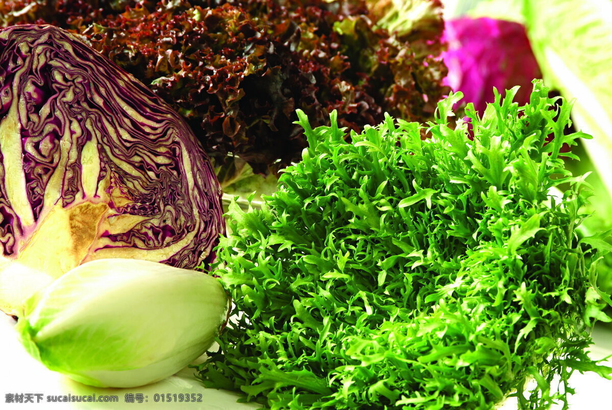 什锦 鲜 蔬 蔬菜 什锦鲜蔬 营养物 生物世界