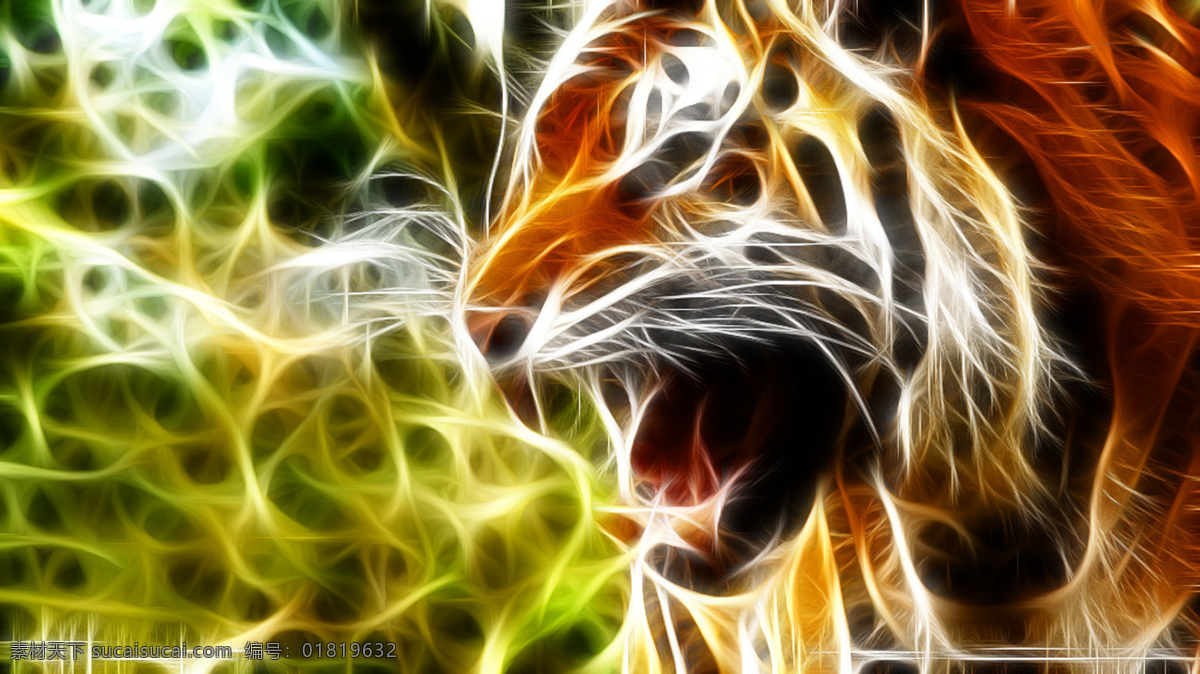 老虎 咆哮 光线 画 虎头 光线画 唯美 野生动物 生物世界