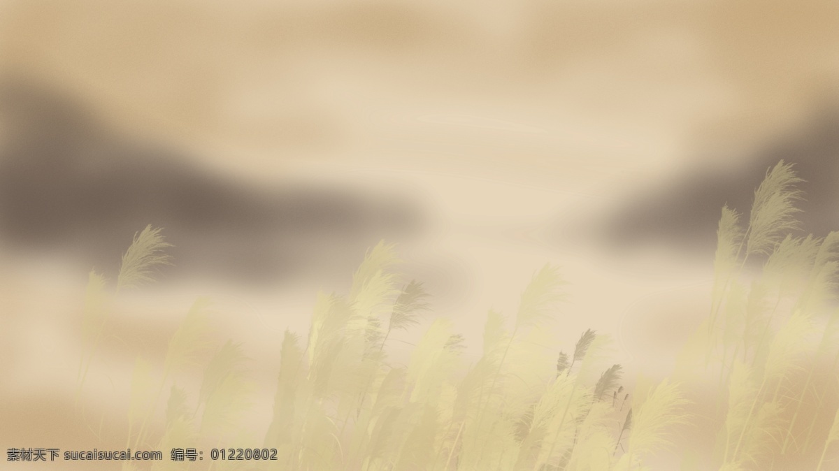 简约 古风 芦苇 背景 中国风 背景素材 卡通背景 芦苇背景 芦苇荡 插画背景 广告背景 psd背景 手绘背景