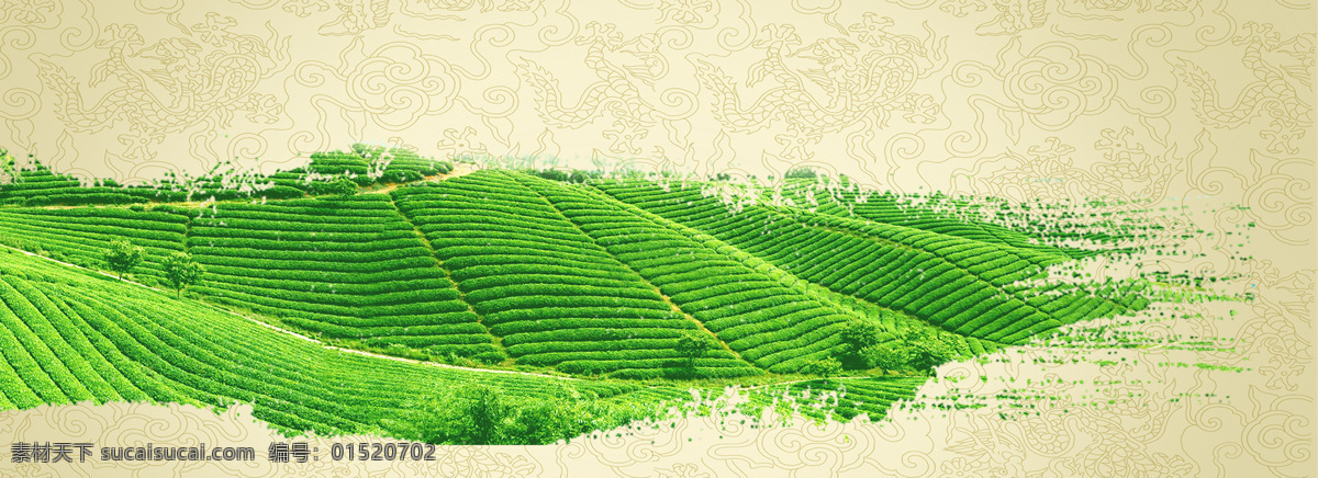 茶叶 泼墨 茶 田 背景 banner 淘宝素材 淘宝主图素材 淘宝描述模板 淘宝装修素材 宝贝 详情 页 模板 淘宝海报 海报模板 淘宝 免费 装修 店铺 黄色