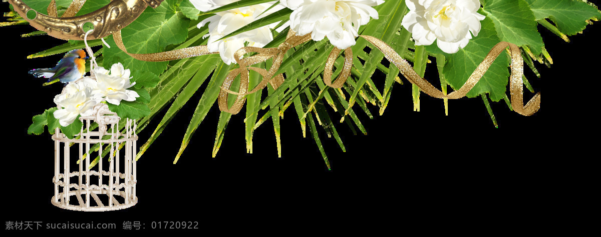 手绘 高贵 白色 花朵 透明 雪白 脱俗 惊艳 花团锦簇 争相开放 透明素材 免扣素材 装饰图片
