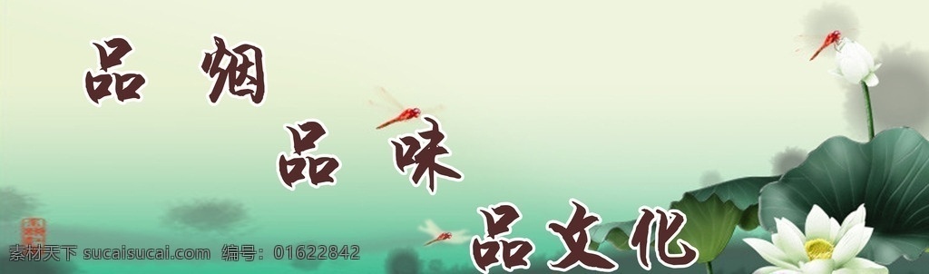 品烟文化 烟草 海报 写真 宣传 品烟