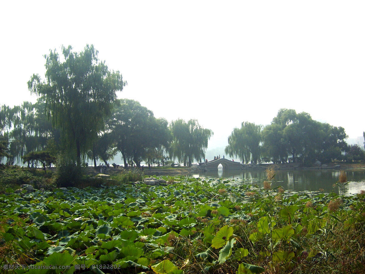 自然风景 草地 风景画 风景图片 绿叶 自然景观 自然 家居装饰素材 山水风景画