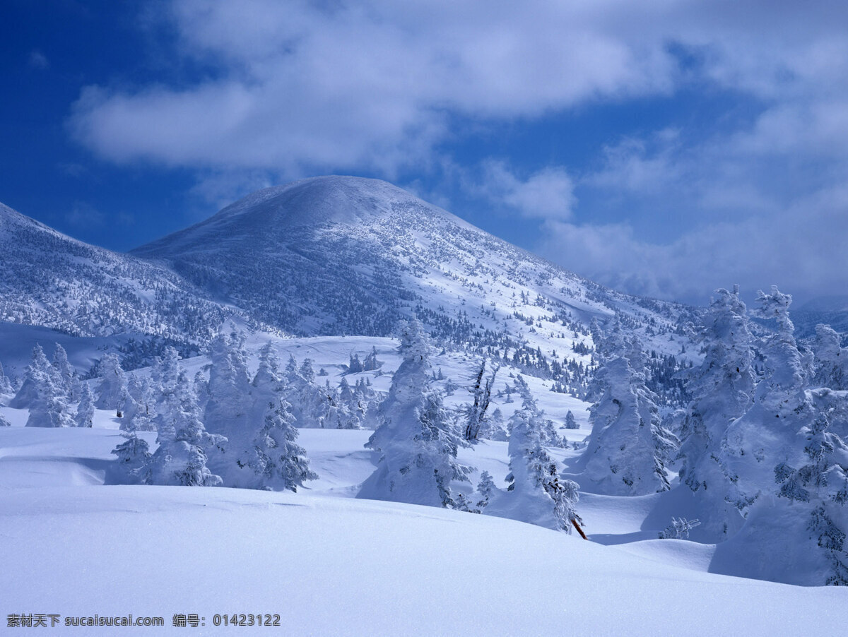 雪景 专题 山 松树 雪 风景 生活 旅游餐饮