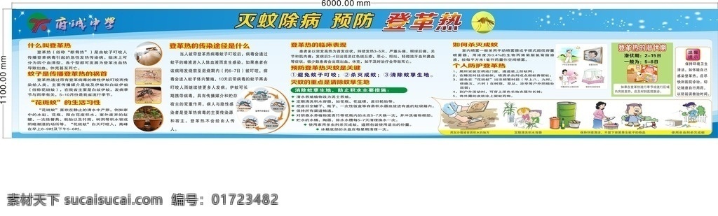 登革热 宣传栏 学校 预防疾病 传播途径 病源