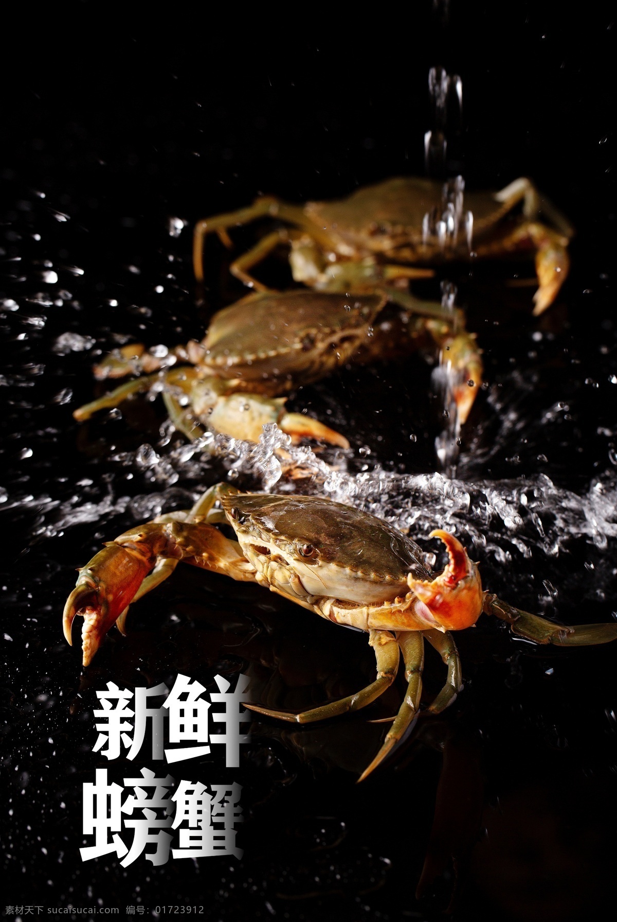 新鲜螃蟹 螃蟹 生鲜 新鲜 河鲜 海鲜 水产 海报 超市
