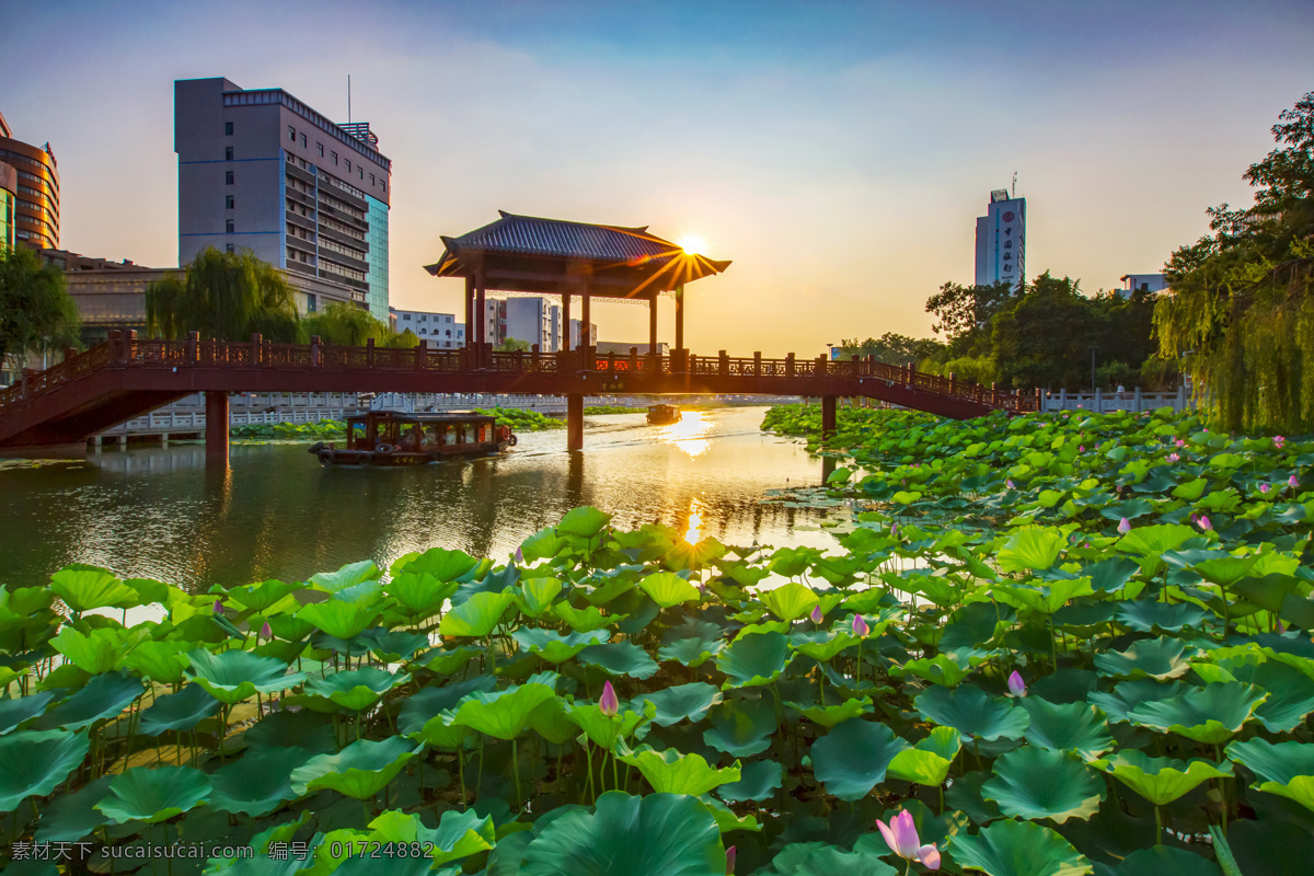 许昌市 许昌荷花 桥 楼房 许昌景色 自然景观 建筑景观