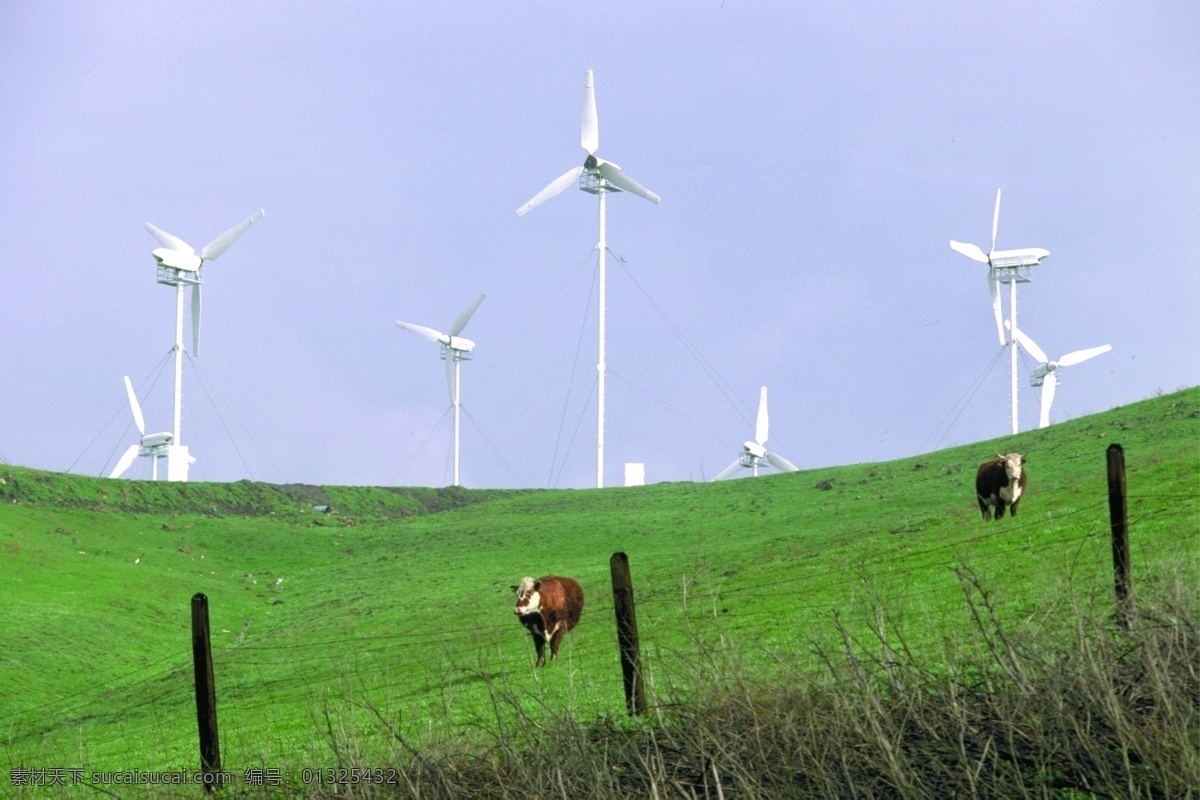 風 力 發 電 機 自然 風力 風力發電 電力 節能 綠能 现代科技