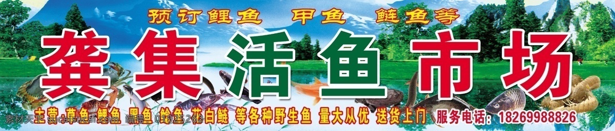 活鱼馆 活鱼市场 鱼店招 鱼门头 鱼图片 鱼广告 鱼 风景图片 活鱼批发部 分层 源文件