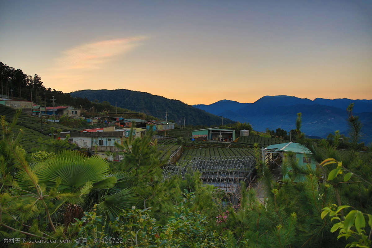 阿里山 风光 风景 台湾 日出 云海 茶林 旅游 旅游摄影 阿里山云海 台湾风光 国内旅游