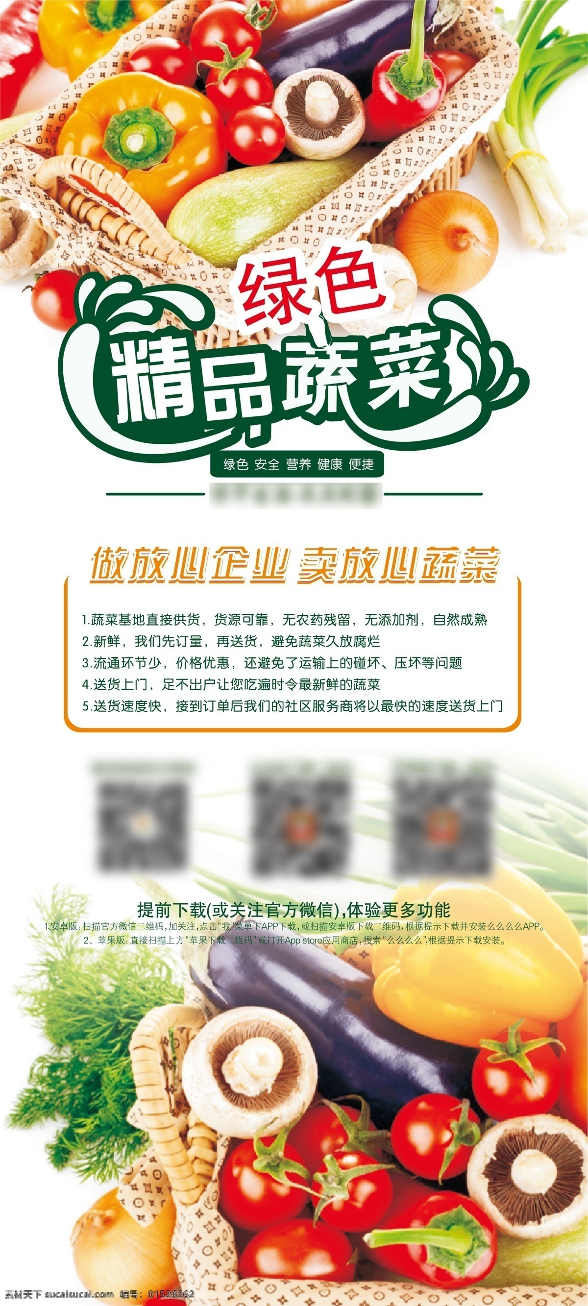 精品蔬菜展架 蔬菜 展架 易拉宝 绿色蔬菜 展板 海报 展板模板