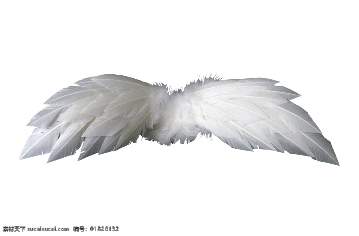 翅膀 300 分层 白色 翅膀素材下载 羽毛 源文件库 翅膀模板下载 psd源文件
